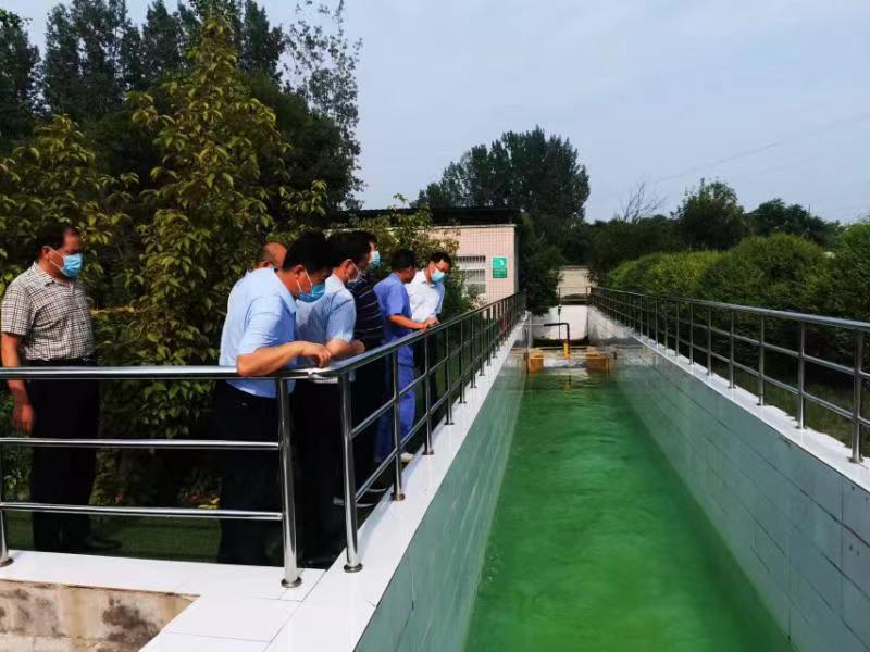 1661329791745482.jpg 4.jpg